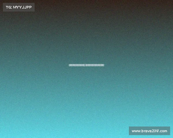 嘉善筑巢电子竞技俱乐部;嘉善筑巢电子竞技俱乐部电话